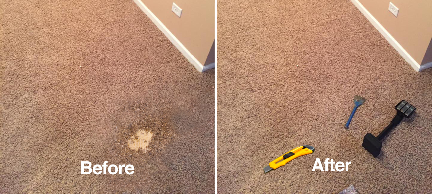 How to Fix and Patch Stained Carpeting HGTV
