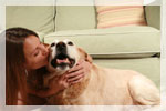 Pet Odor and Urine Treatments