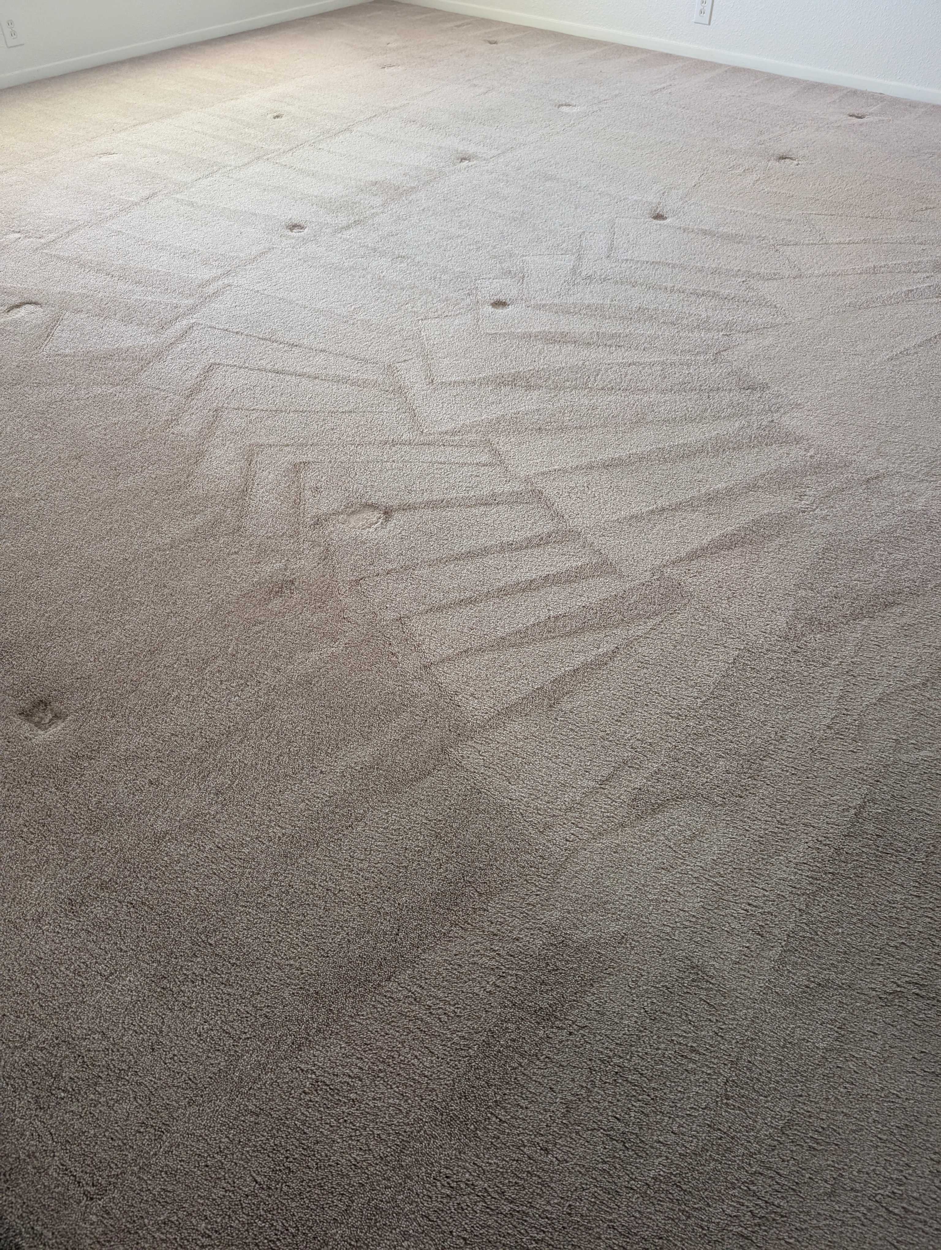 Carpet Cleaning