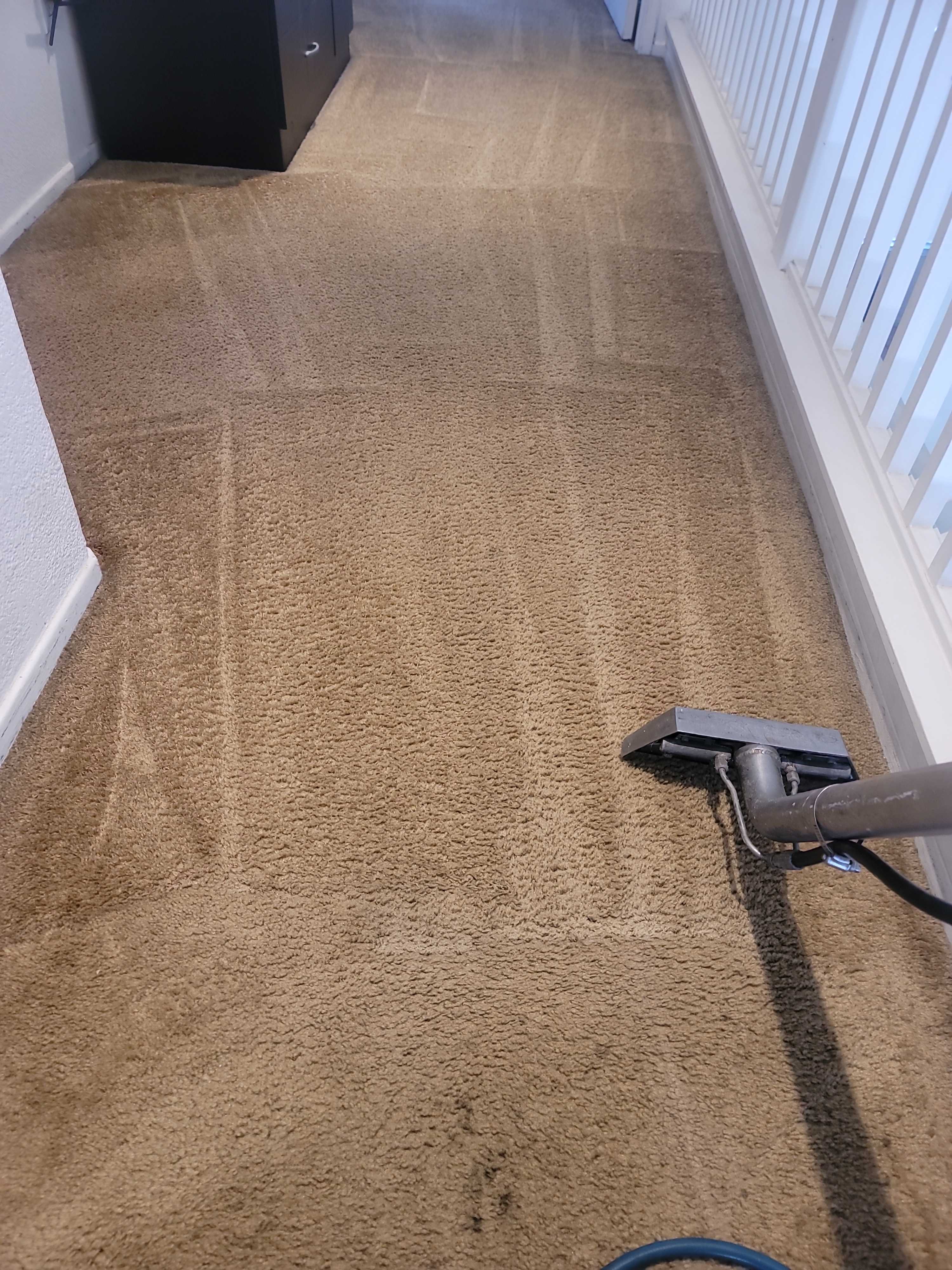 Carpet Cleaning