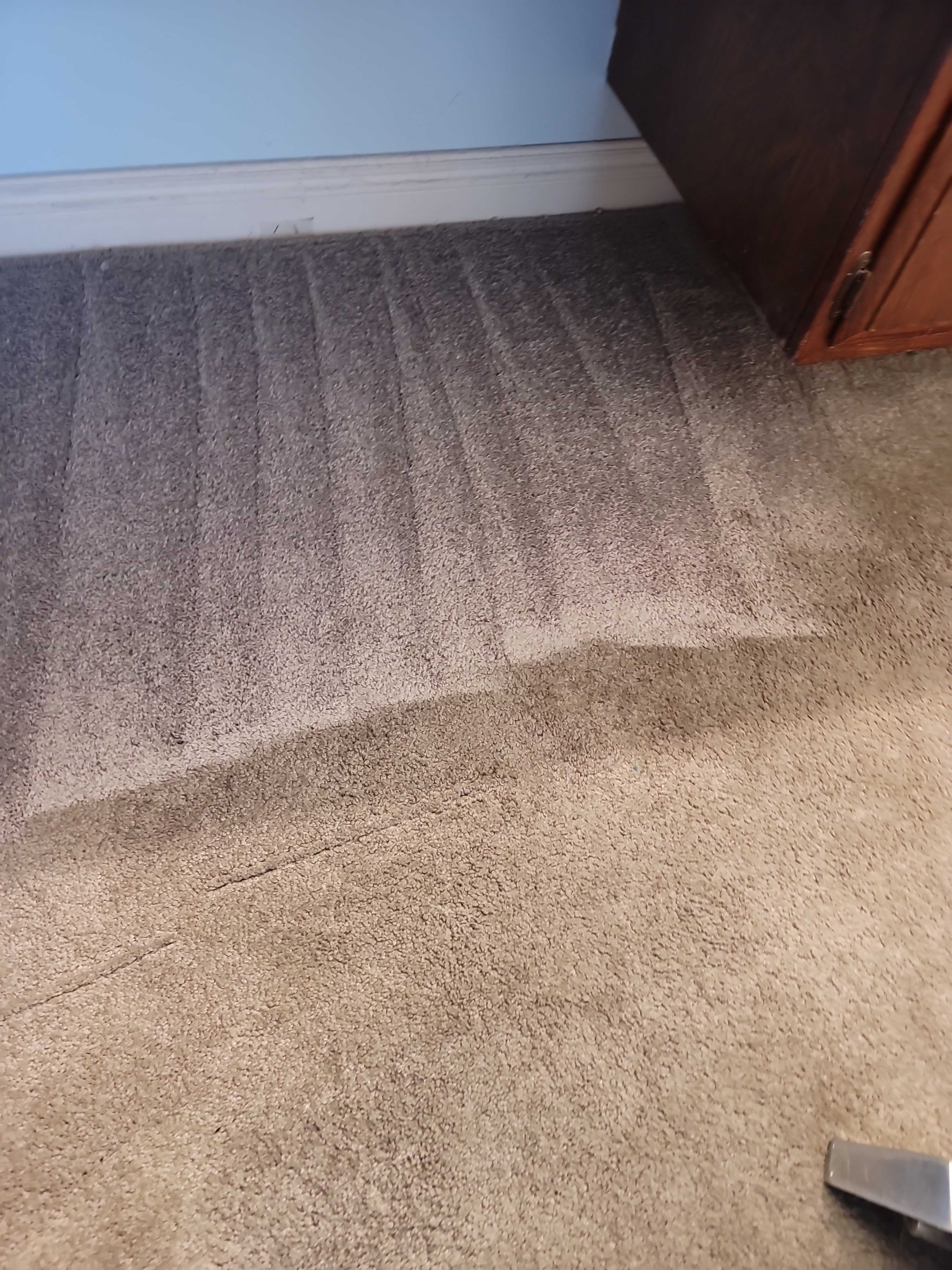 Carpet Cleaning