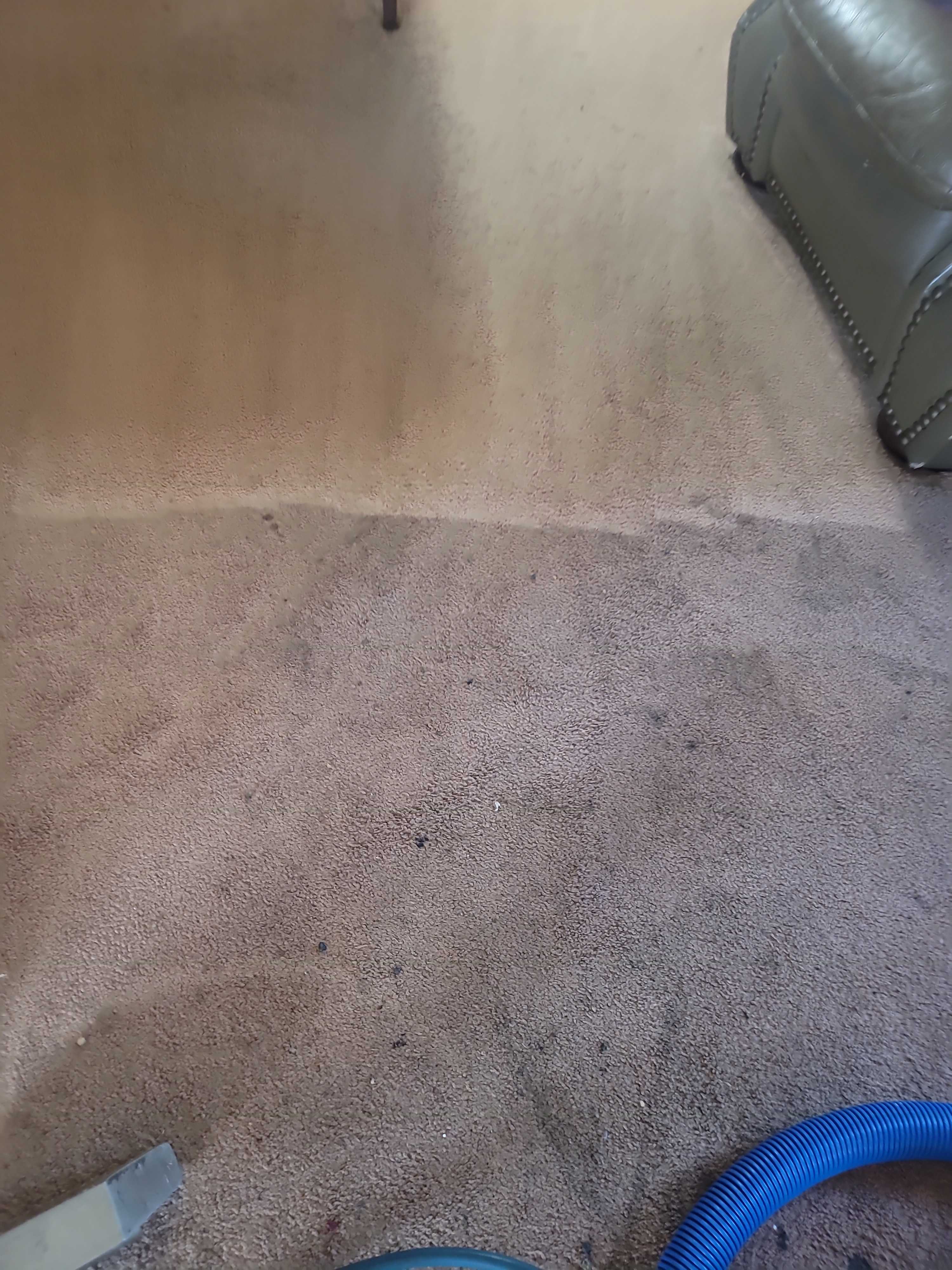 Carpet Cleaning