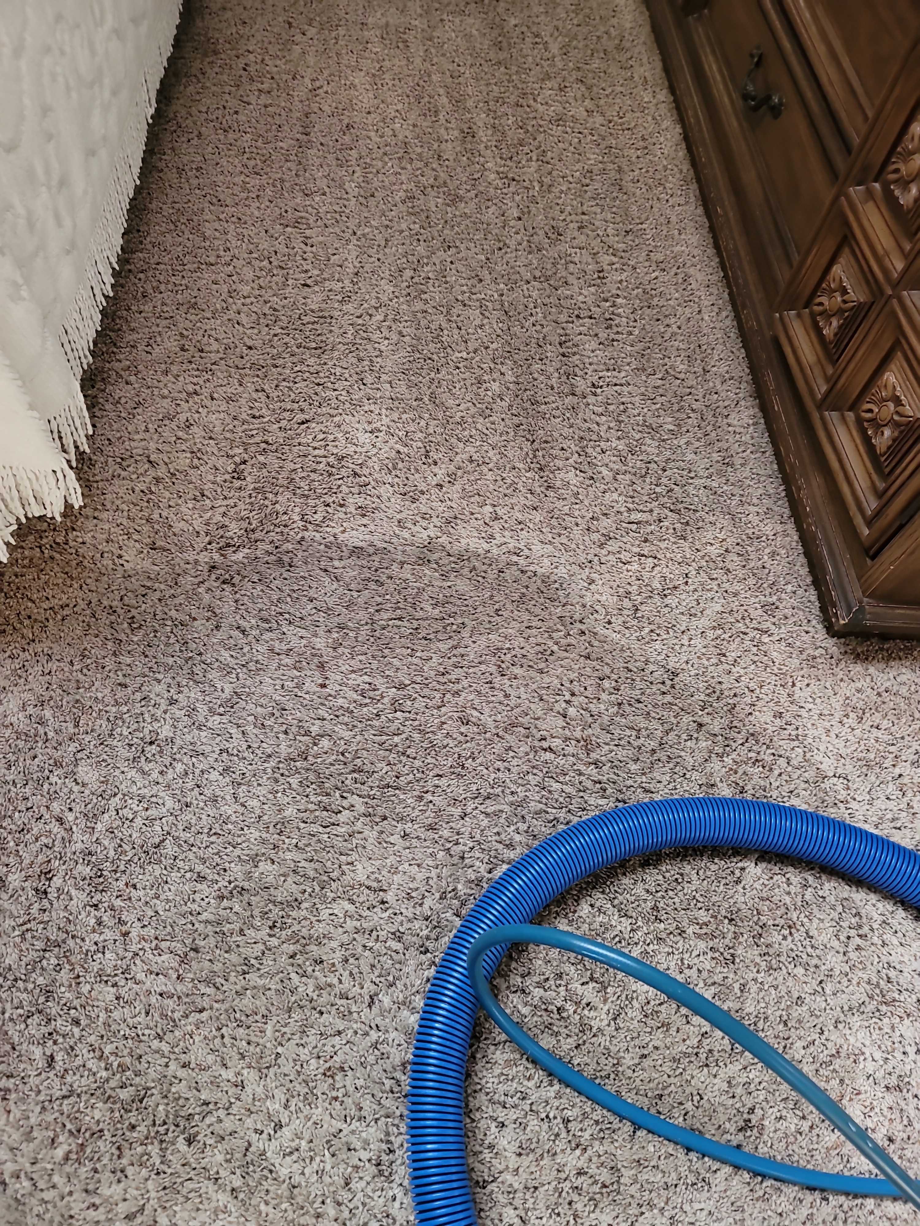 Carpet Cleaning Before/After