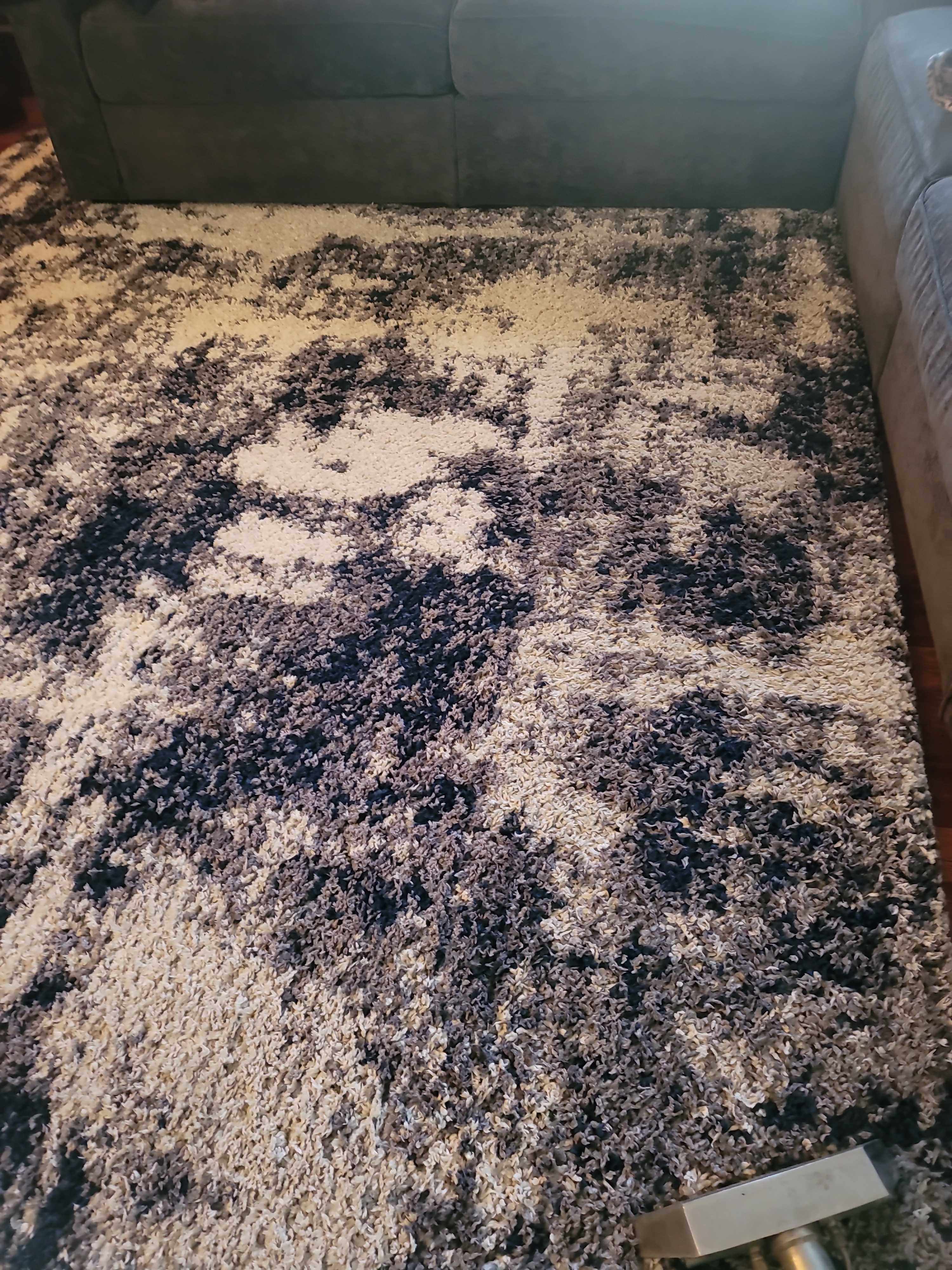 Area rug Cleaning
