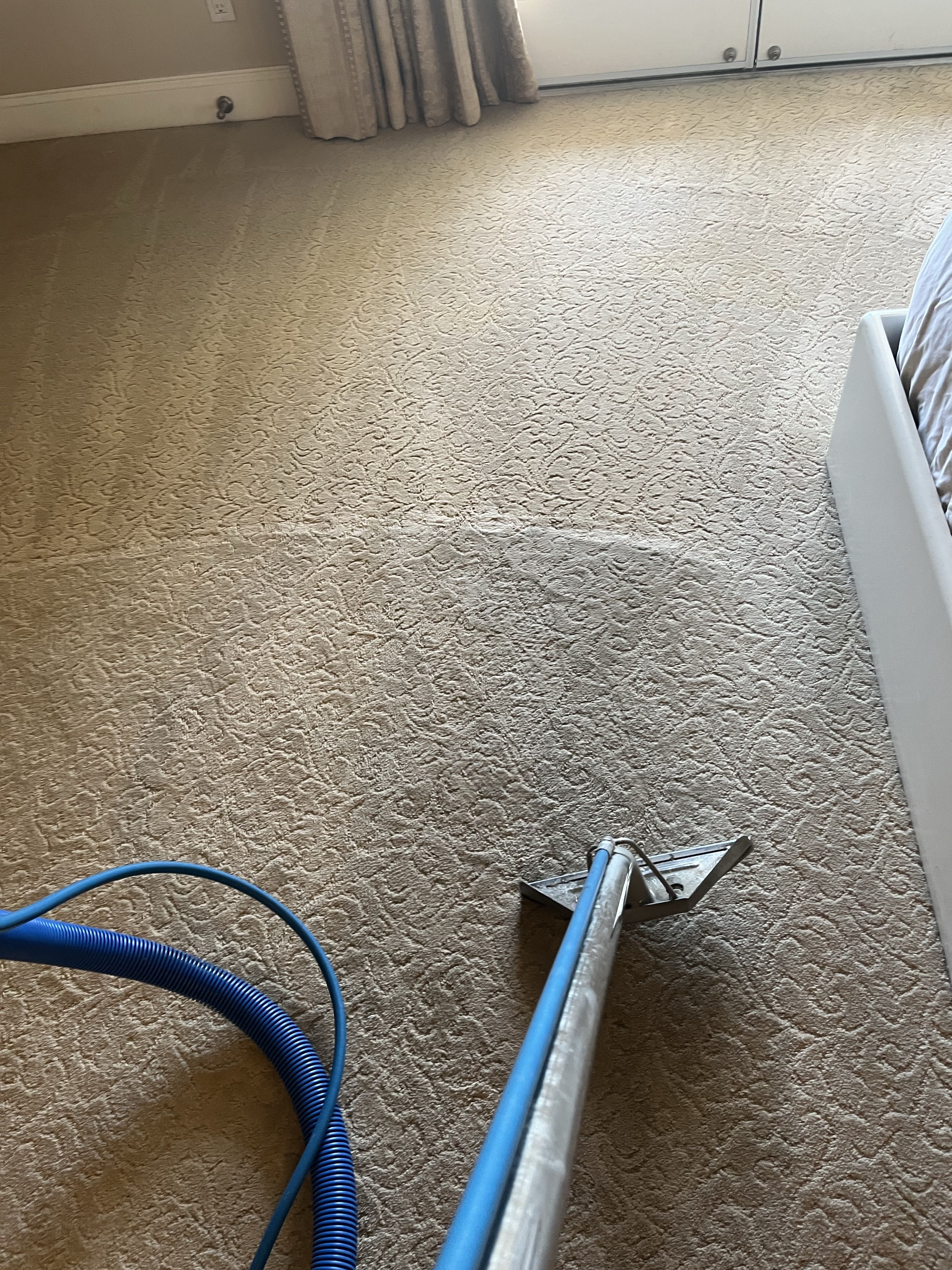 Carpet Cleaning