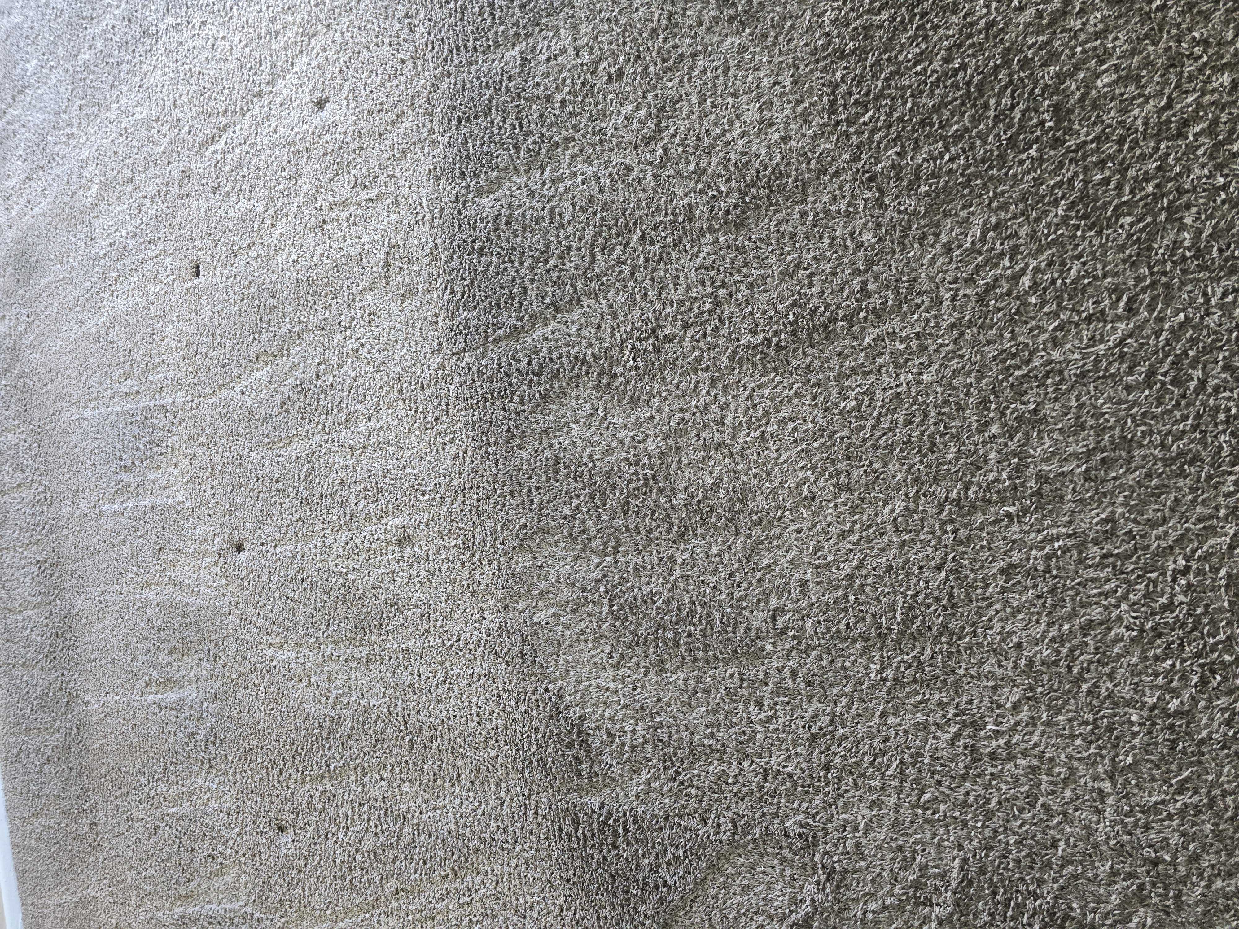 Carpet Cleaning