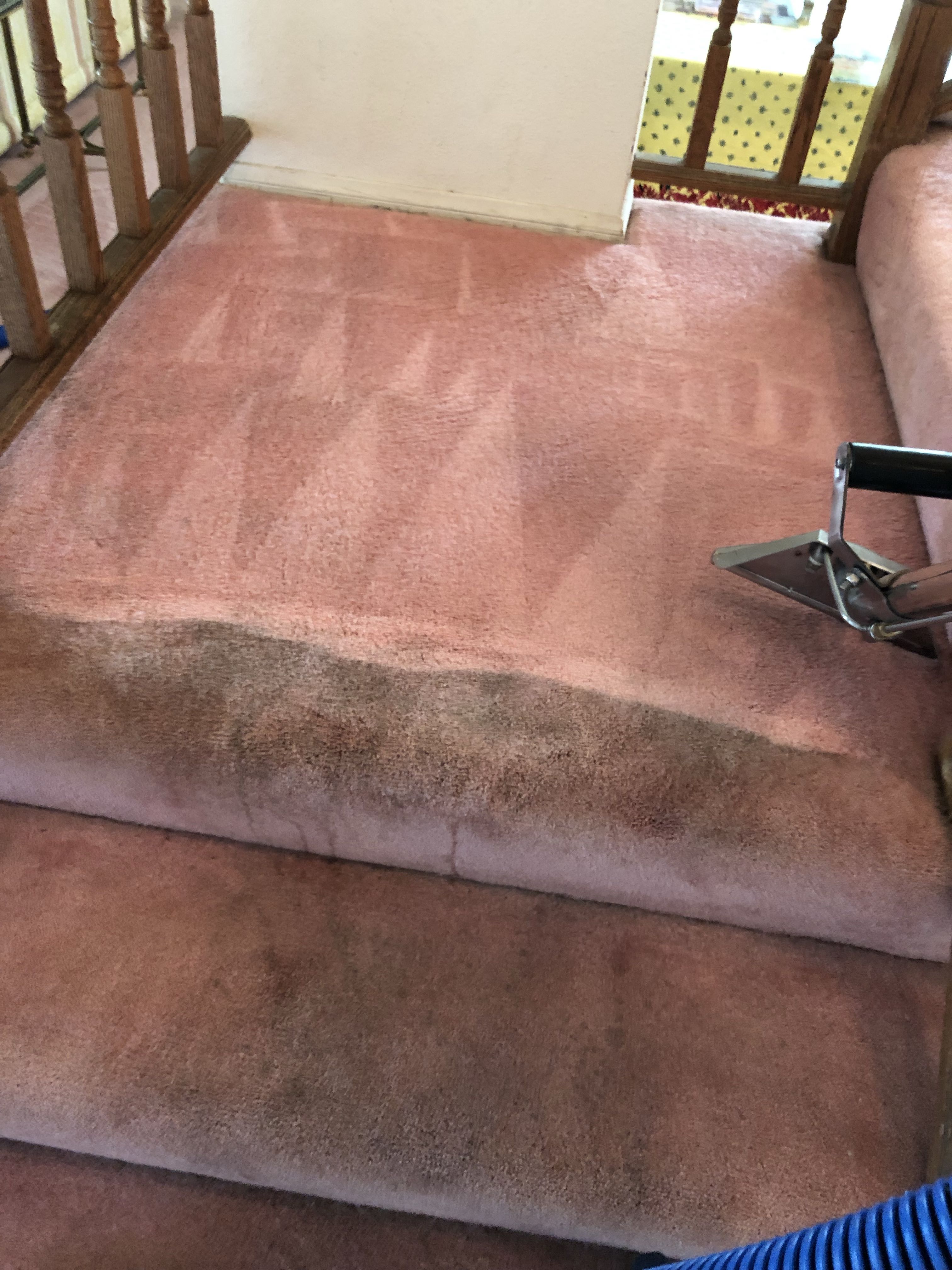 Carpet Cleaning