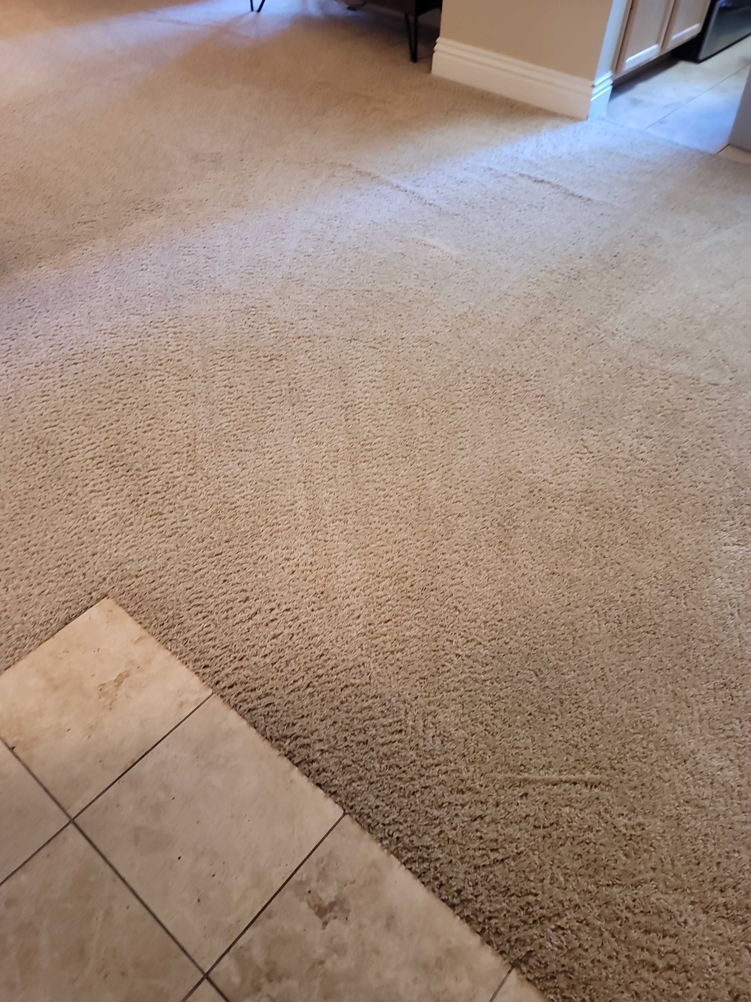 Carpet Cleaning