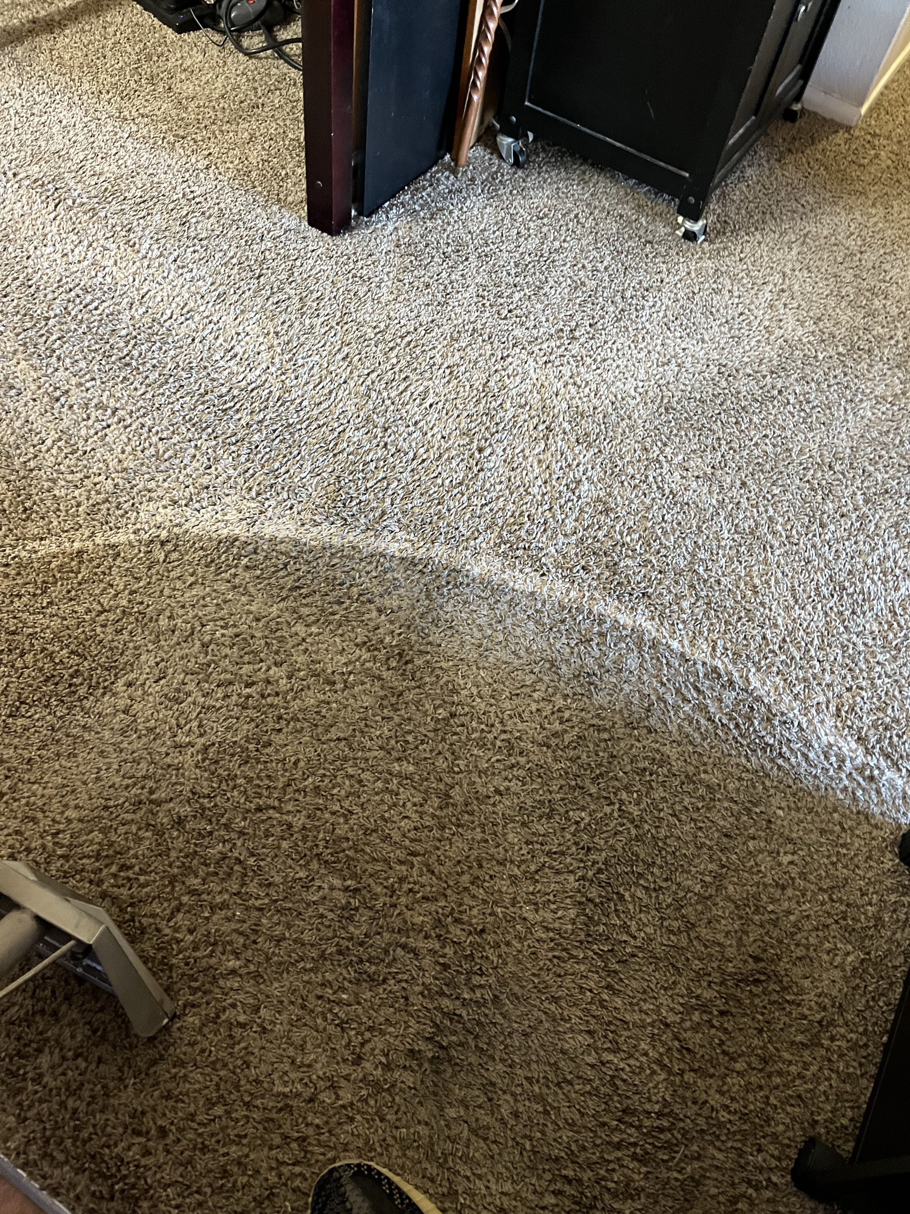 Carpet Cleaning