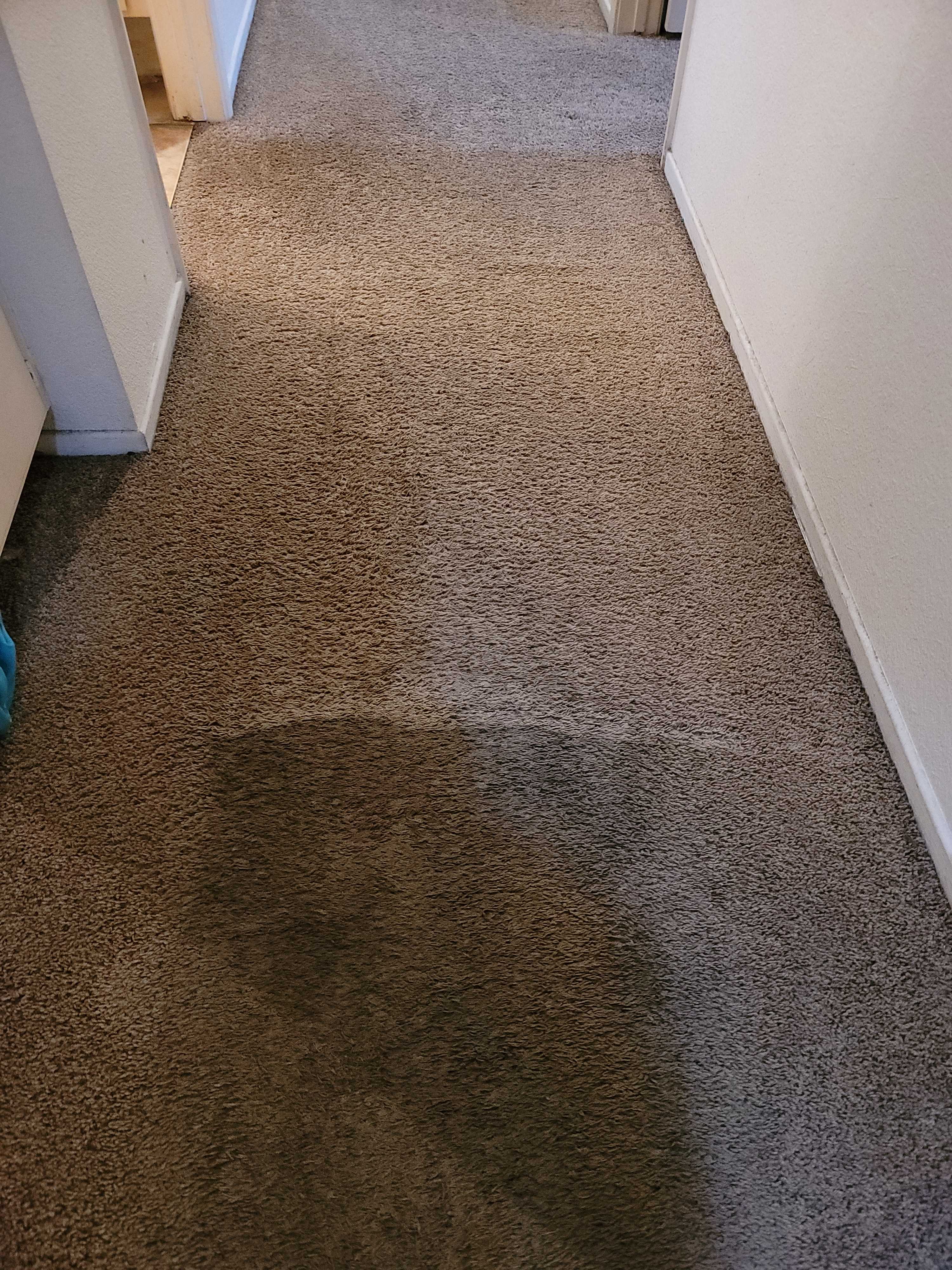 Carpet Cleaning