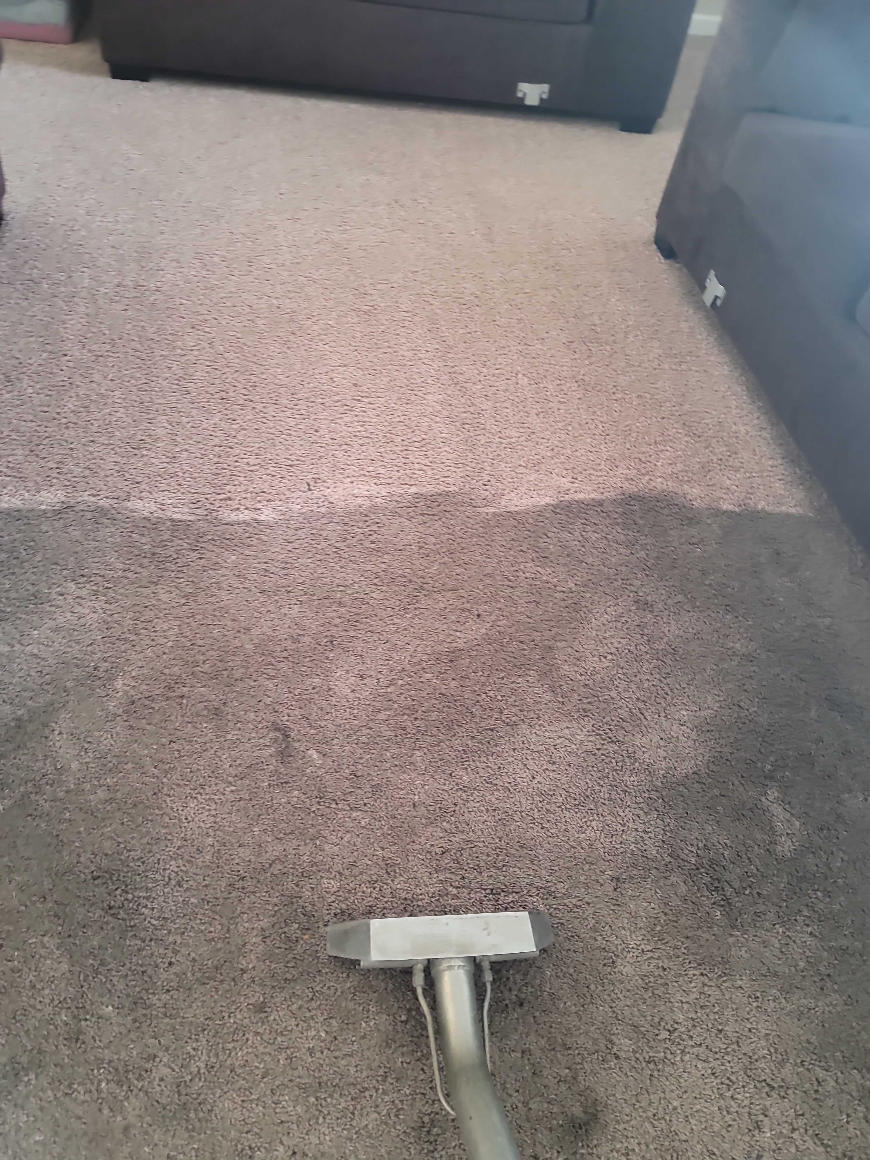 Carpet Cleaning