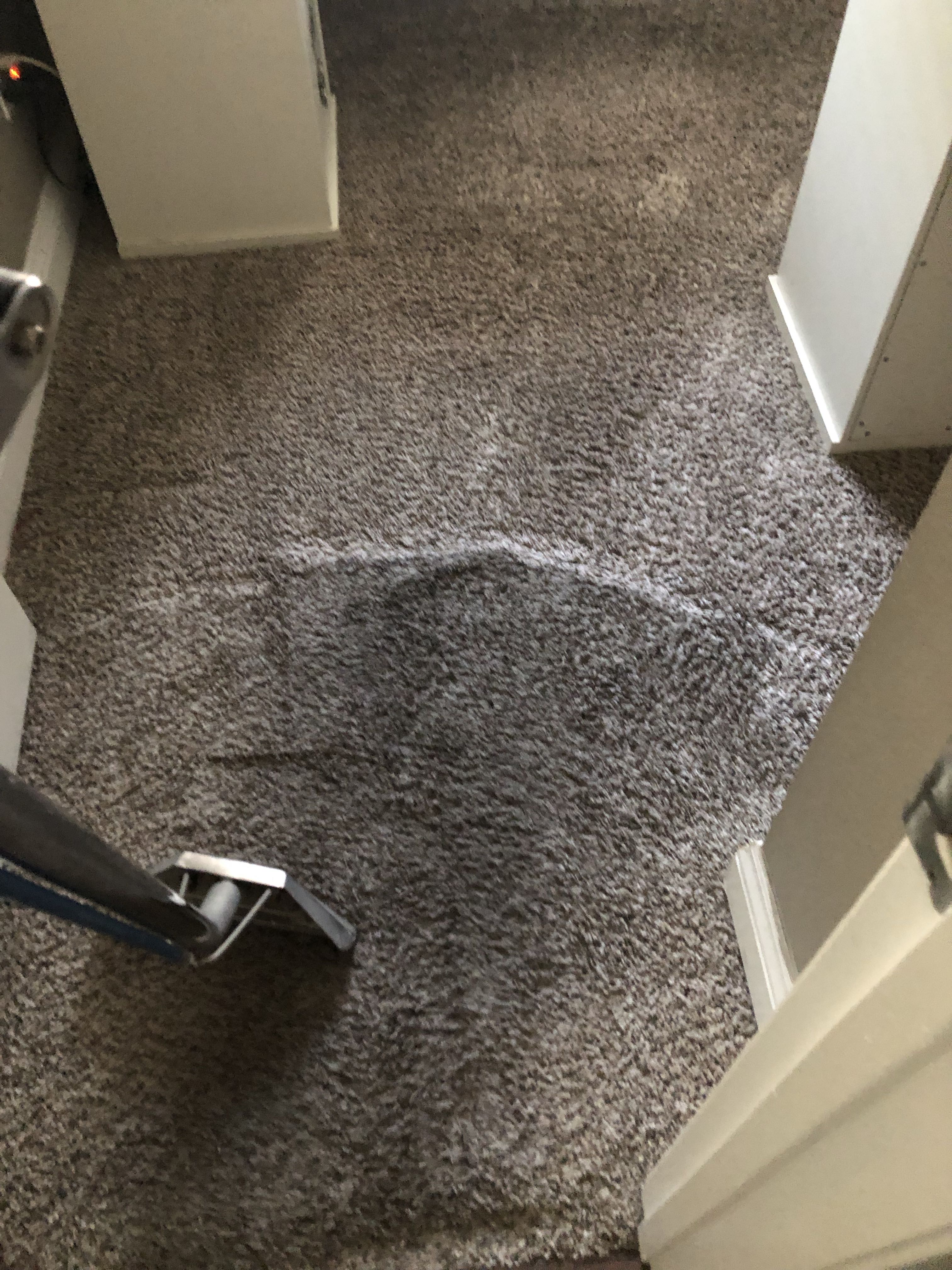 Carpet Cleaning