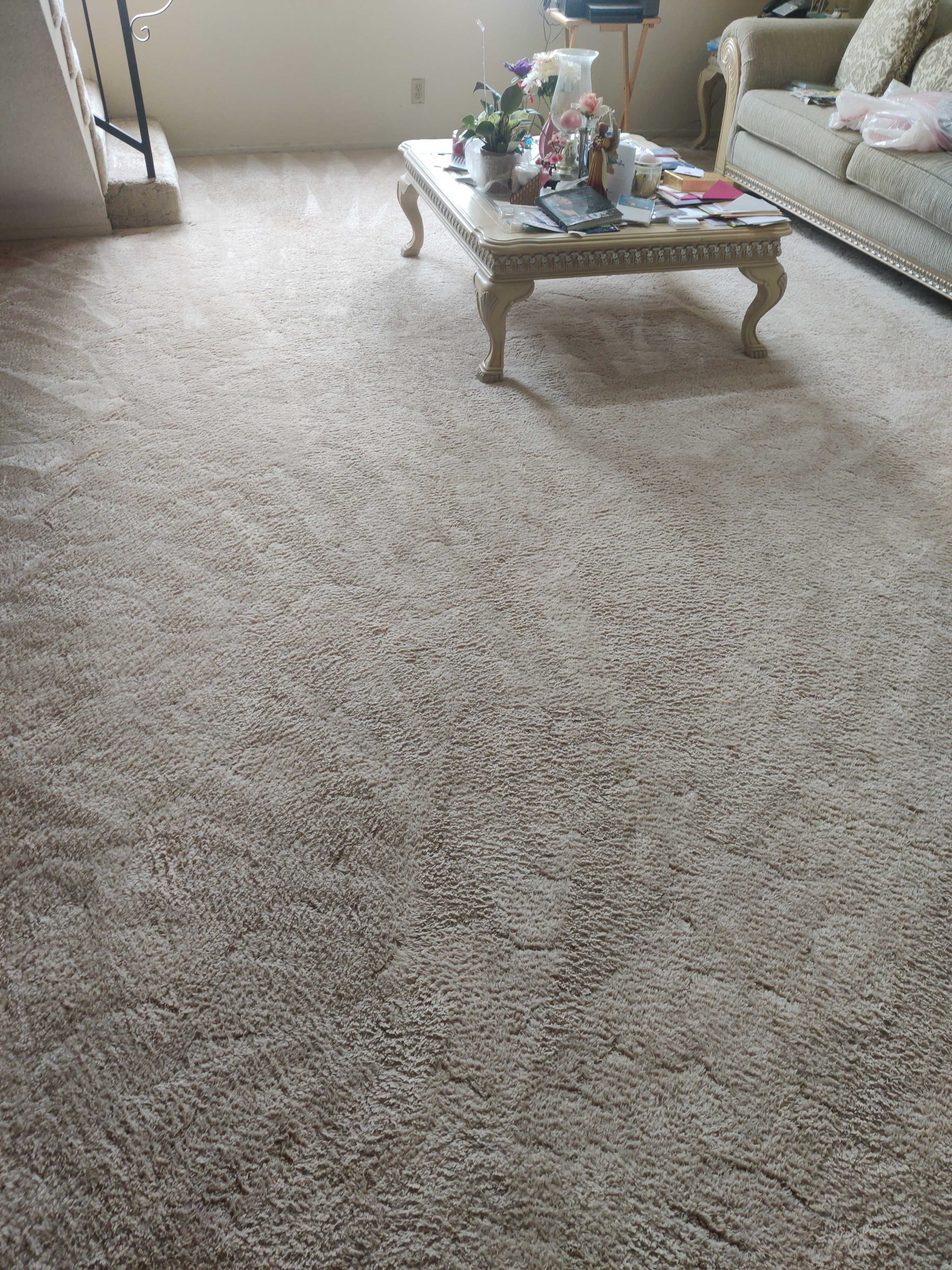 Carpet Cleaning